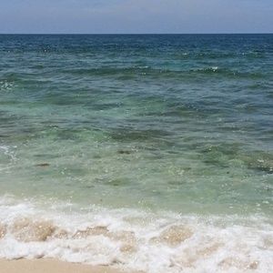 Meet your Posher, Ronn